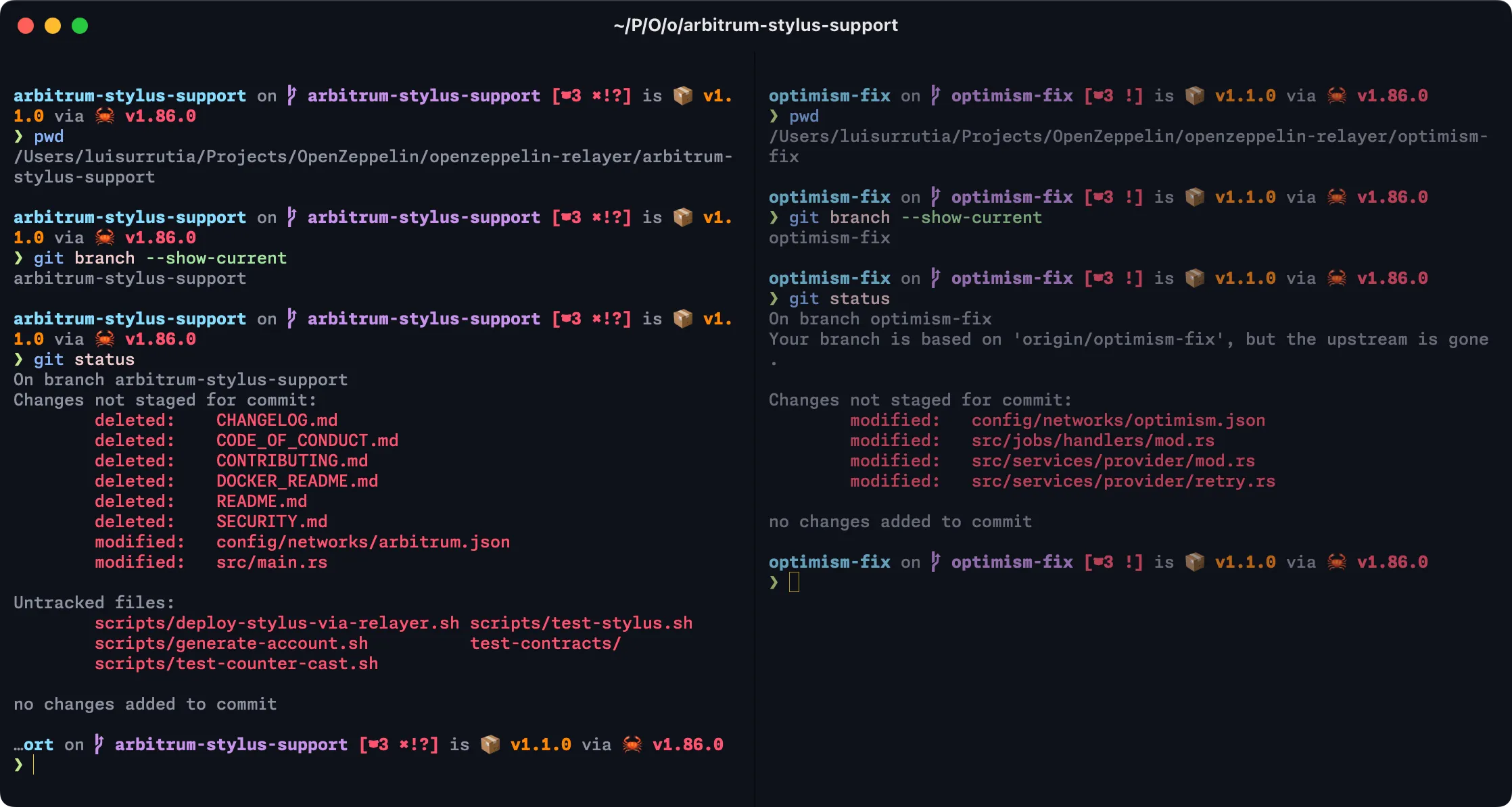 Split terminal showing two branches open simultaneously in separate directories